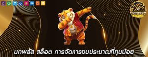 นกพลัส สล็อต การจัดการงบประมาณที่ทุนน้อย